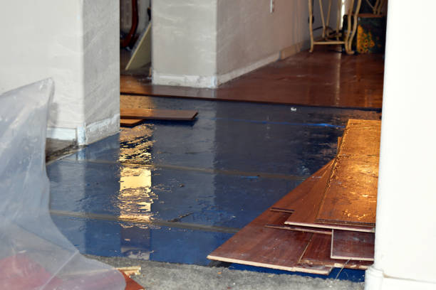Professional Burst Pipe Water Damage technician working in New Middletown, OH